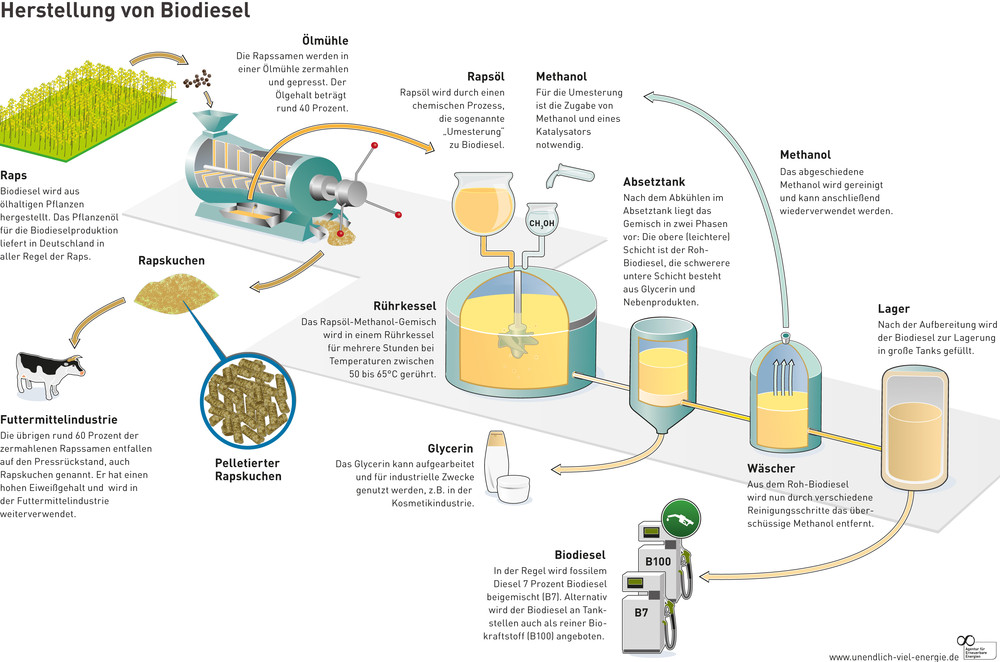 Herstellung Biodiesel
