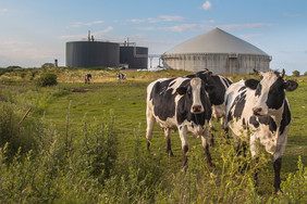 Biogasanlage zur Güllevergärung, Quelle:  ©creativenature.nl - stock.adobe.com 